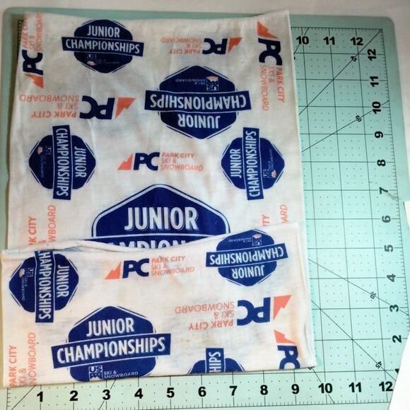 Junior Championships Park City Ski Snowboard Neck Gaiter White Blue Utah Sports - Picture 3 of 5
